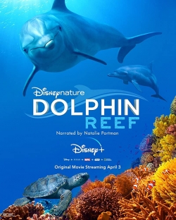 watch free Dolphin Reef hd online