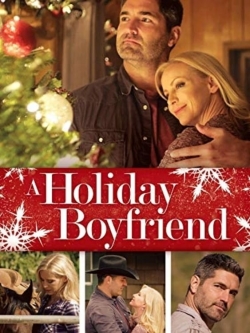 watch free A Holiday Boyfriend hd online