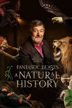 watch free Fantastic Beasts: A Natural History hd online