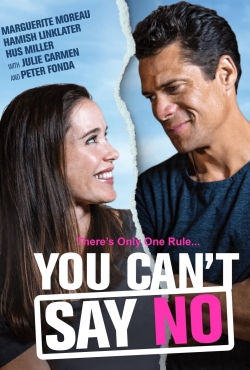 watch free You Can't Say No hd online