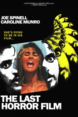 watch free The Last Horror Film hd online