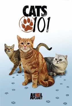 watch free Cats 101 hd online