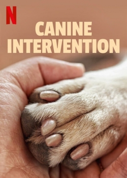 watch free Canine Intervention hd online