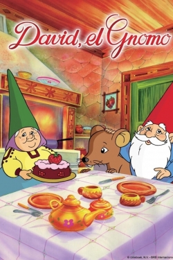 watch free David the Gnome hd online