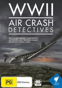 watch free WWII Air Crash Detectives hd online