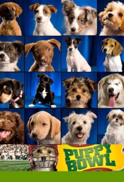 watch free Puppy Bowl hd online