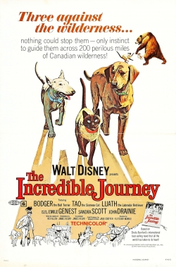 watch free The Incredible Journey hd online