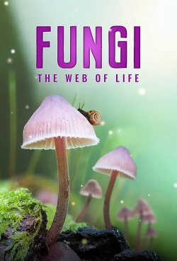 watch free Fungi: The Web of Life hd online