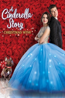 watch free A Cinderella Story: Christmas Wish hd online