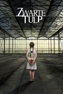 watch free Black Tulip hd online
