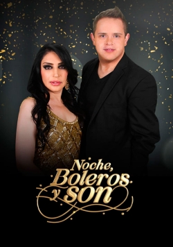 watch free Noche, Boleros y Son hd online