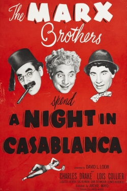 watch free A Night in Casablanca hd online