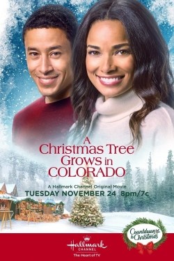 watch free A Christmas Tree Grows in Colorado hd online