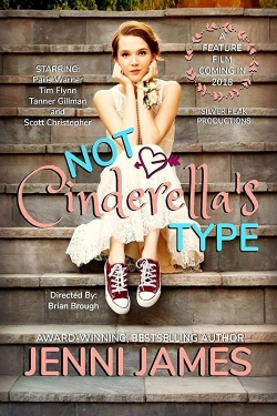 watch free Not Cinderella's Type hd online