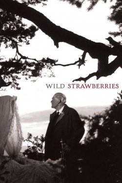 watch free Wild Strawberries hd online