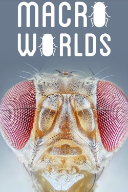 watch free Macro Worlds hd online