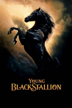 watch free Young Black Stallion hd online