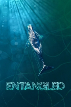 watch free Entangled: The Race to Save Right Whales from Extinction hd online