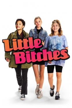 watch free Little Bitches hd online