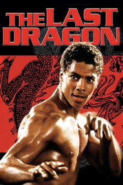 watch free The Last Dragon hd online