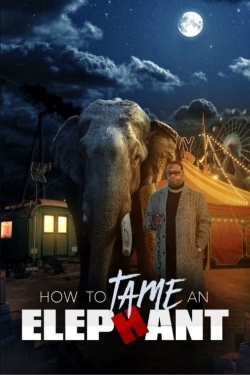 watch free How To Tame An Elephant hd online