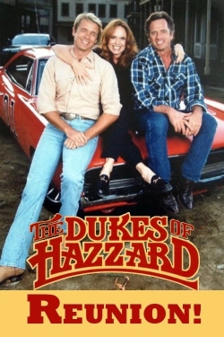 watch free The Dukes of Hazzard: Reunion! hd online