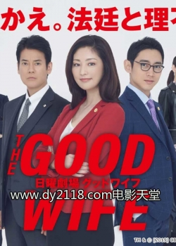 watch free The Good Wife hd online