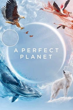 watch free A Perfect Planet hd online