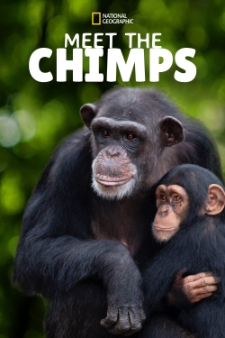 watch free Meet the Chimps hd online