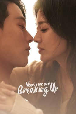 watch free Now, We Are Breaking Up hd online