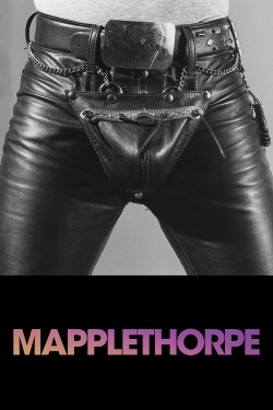 watch free Mapplethorpe hd online