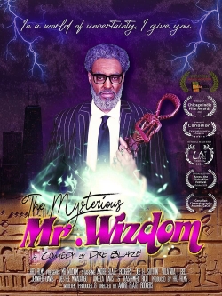 watch free The Mysterious Mr. Wizdom hd online
