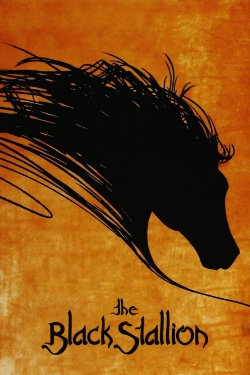 watch free The Black Stallion hd online