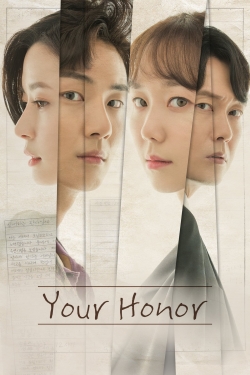 watch free Your Honor hd online