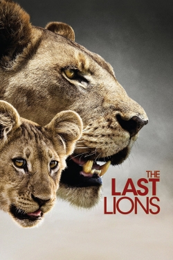 watch free The Last Lions hd online