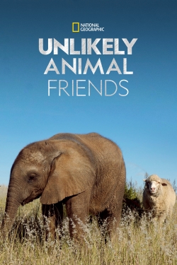 watch free Unlikely Animal Friends hd online