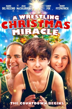 watch free A Wrestling Christmas Miracle hd online