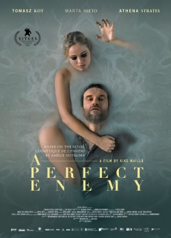 watch free A Perfect Enemy hd online