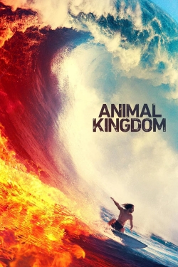 watch free Animal Kingdom hd online