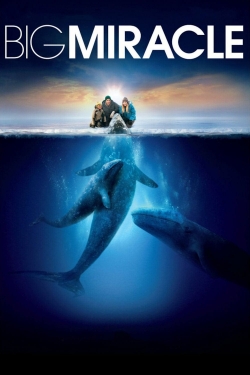 watch free Big Miracle hd online