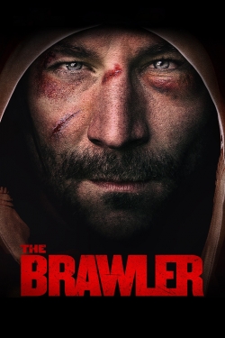 watch free The Brawler hd online