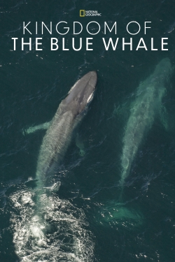 watch free Kingdom of the Blue Whale hd online