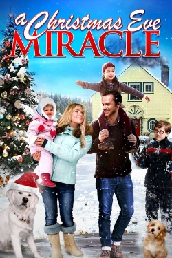watch free A Christmas Eve Miracle hd online