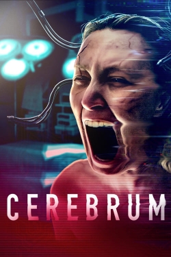 watch free Cerebrum hd online