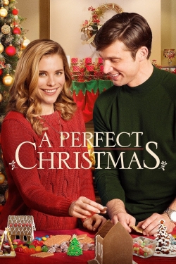 watch free A Perfect Christmas hd online