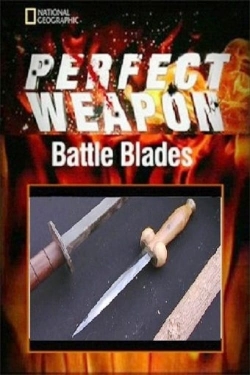 watch free Perfect Weapon hd online