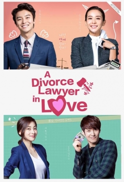 watch free Divorce Lawyer in Love hd online