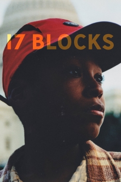 watch free 17 Blocks hd online