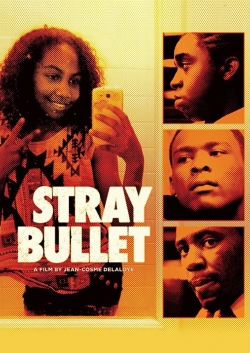 watch free Stray Bullet hd online