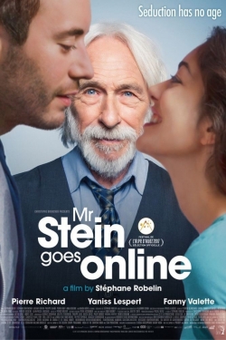 watch free Mr. Stein Goes Online hd online